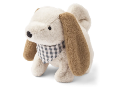 Motoric Teddy - Dev Dog - Sandy Online now