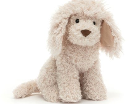 Teddy - Georgiana Poodle Supply