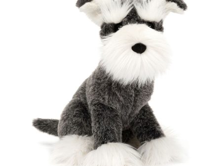 Teddy - Lawrence Schnauzer For Sale