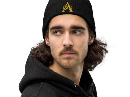 Kingdoms of Amalur Infinity A Beanie Online now