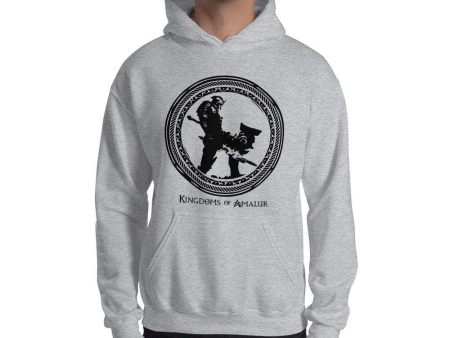 Kingdoms of Amalur Warrior Shield Pullover on Sale