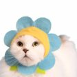 Cat Cap Flower Blind Box Random Style Hot on Sale