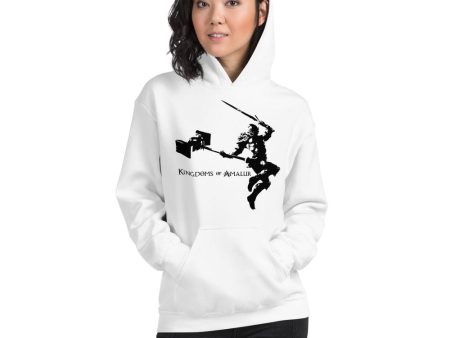 Kingdoms of Amalur Pullover Hoodie – Iconic Jumping Warrior Cheap