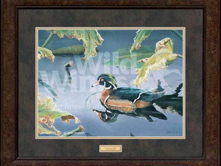 Tranquil Pond—Wood Duck - GNA Premium Print Cheap