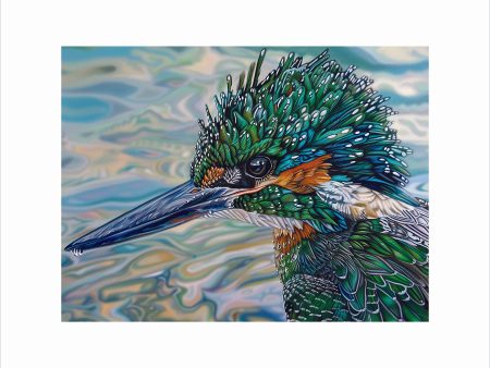 A Morning Dive - Green Kingfisher - Art Prints Online Hot Sale