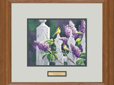 Summer Lilacs - Paper Print Sale