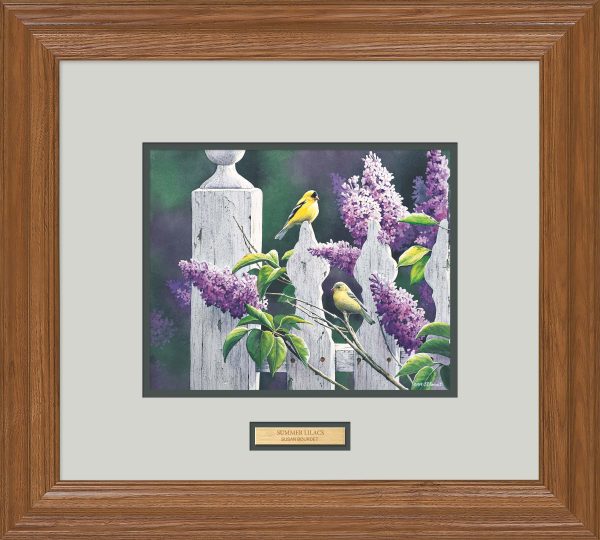 Summer Lilacs - Paper Print Sale