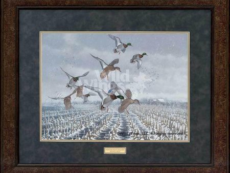 Northern Flight—Mallards - GNA Premium Print For Discount