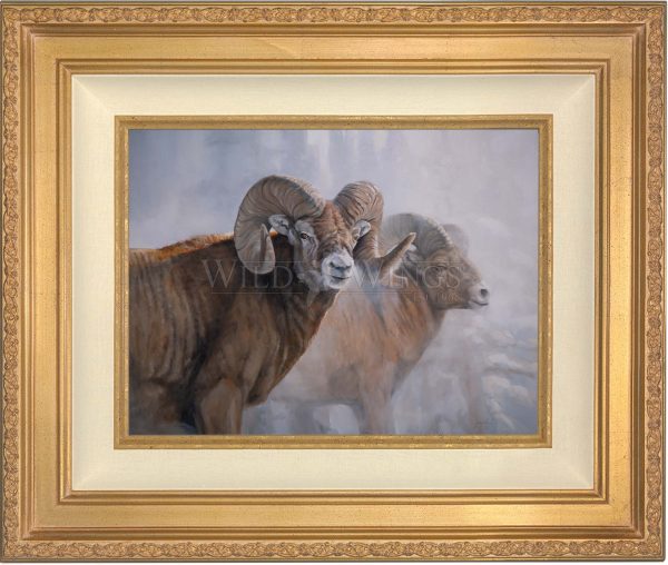 Bighorns in the Mist - Master Artisan Canvas Online now