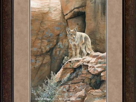 Red Rock Canyon—Coyote - GNA Premium Print For Discount