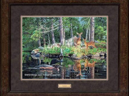 Neighbors—Deer & Loons - GNA Premium Print Online Hot Sale