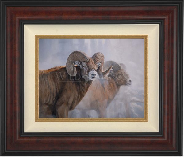 Bighorns in the Mist - Master Artisan Canvas Online now