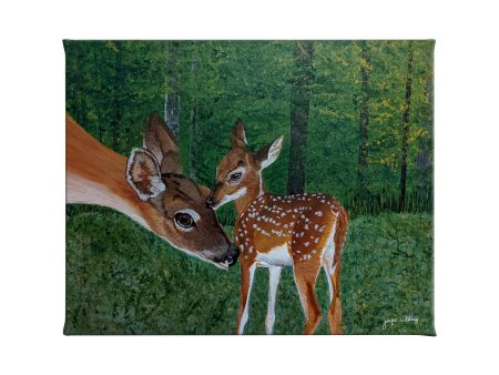 White Tailed Deer Doe Nurtures Fawn in Field - 13  x 18  Gallery Wrapped Canvas For Cheap