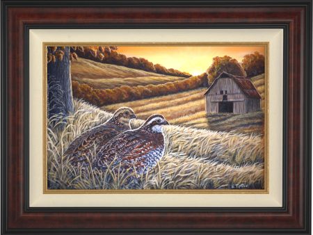 Sunlit Quail - Limited Edition Canvas For Cheap