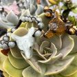 Spirt Animal Wolf Tiger s Eye - Bracelet Discount