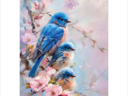 Aligned Vision - Bluebirds - Art Prints For Sale