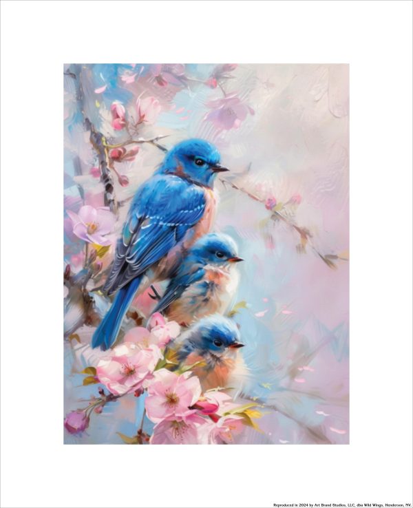 Aligned Vision - Bluebirds - Art Prints For Sale