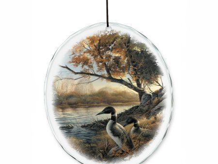 Hidden Point - Suncatcher on Sale