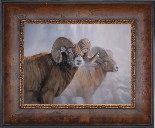 Bighorns in the Mist - Master Artisan Canvas Online now