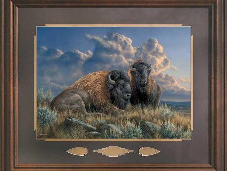 Distant Thunder - Bison - GNA Premium Print Discount