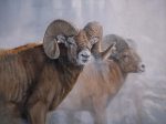 Bighorns in the Mist - Master Artisan Canvas Online now