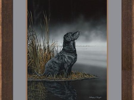 Daybreak Scout—Black Lab - Paper Print on Sale