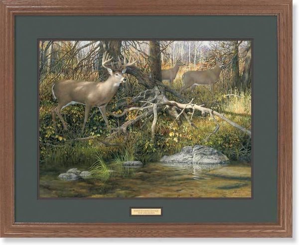 When Seasons Change-Whitetail Deer - GNA Premium Print Online Sale