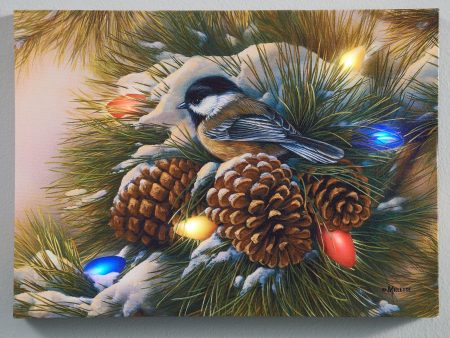 December Dawn—Chickadee - 13  x 18  Lighted Wrapped Canvas Discount