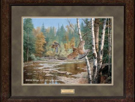 Cascade Crossing - Ruffed Grouse - GNA Premium Print Online Hot Sale