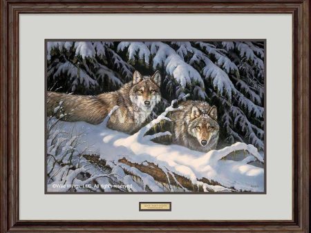 Black Timber—Wolves - Limited Edition Paper Online