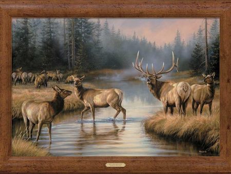 Autumn Mist-Elk - 30  x 42  Framed Gallery Canvas on Sale