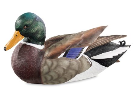 Mallard on Sale