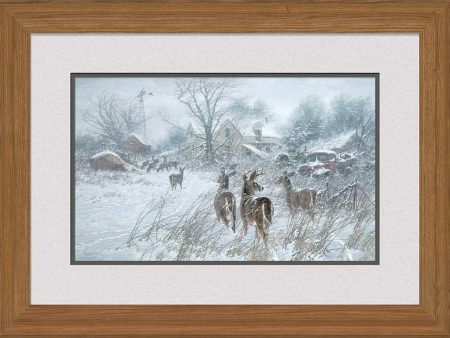 The Homesteaders—Whitetail Deer - Signed Print Online