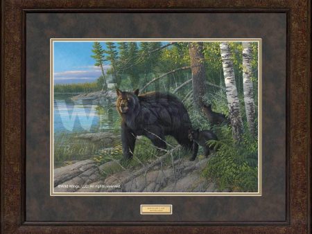 Boundary Camp—Black Bears - GNA Premium Print For Sale