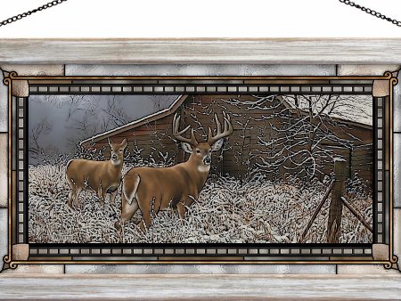 Chance Encounter - Whitetail Deer For Discount