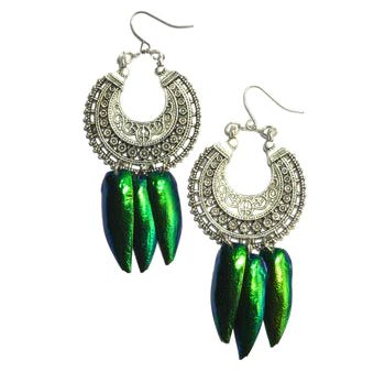 Exotic Beetle Wing - Earrings For Sale