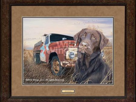 Old Faithful—Chocolate Lab - GNA Premium Print Discount