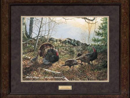 Rites of Spring—Turkeys - GNA Premium Print on Sale