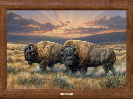 Dusty Plains—Bison - 30  x 40  Framed Gallery Canvas For Discount