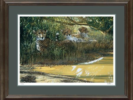 Beating the Heat—Cheetahs - Limited Edition Paper Online Hot Sale