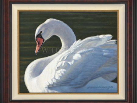 Aglow - Master Artisan Canvas on Sale