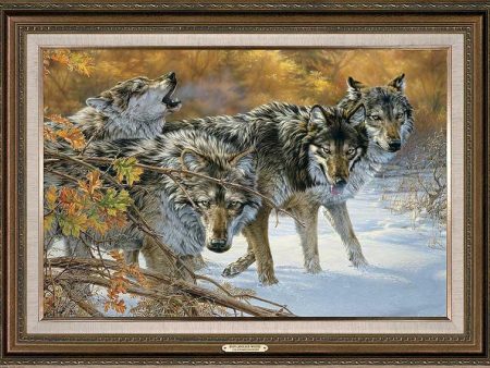 Body Language - Timberwolves - 32  x 44  Framed Gallery Canvas Online now