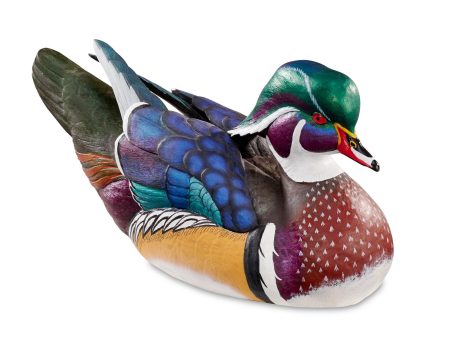 Swan Lake - Wood Duck Hot on Sale