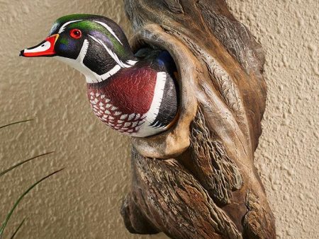 Wood Duck in Tree Cheap