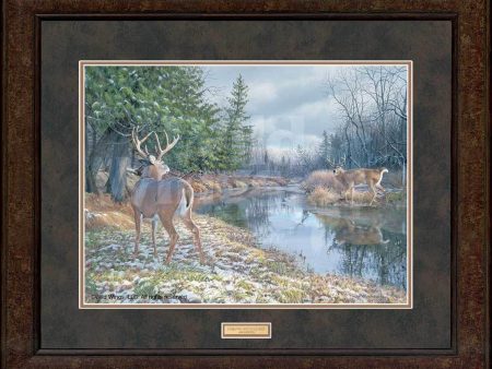 I Dare You—Whitetail Deer - GNA Premium Print Supply