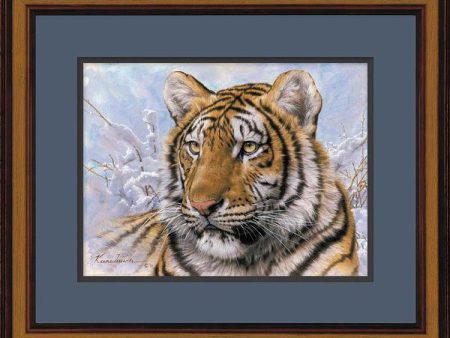 Spots & Stripes—Siberian Tiger - Paper Print Online