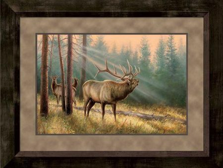 Answering the Call—Elk - Limited Edition Paper Discount