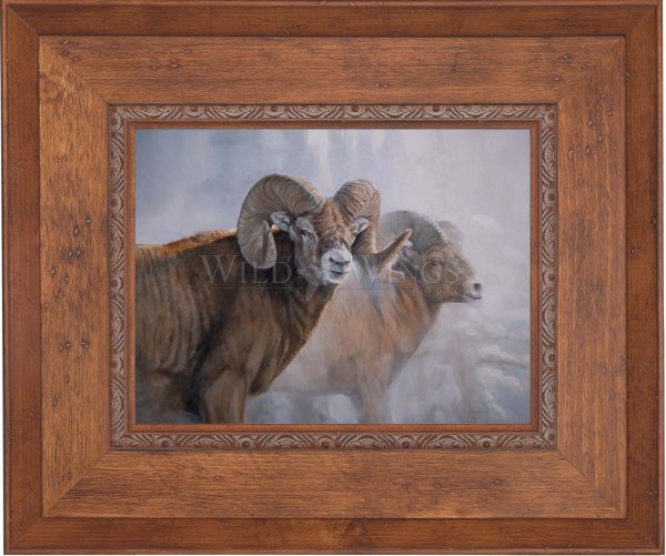 Bighorns in the Mist - Master Artisan Canvas Online now