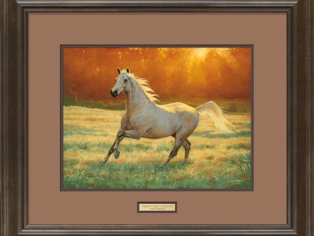 That s My Horse - Arabian Bay - Signed Print For Cheap