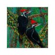 Woodpeckers in the Mist - 14  x 14  Gallery Wrapped Canvas Online